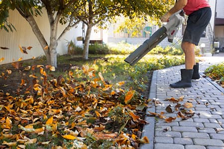 Landscape Services in Austin, TX